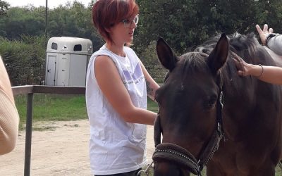 Shiatsu e animali video