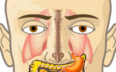 Riflessologia del volto, daily