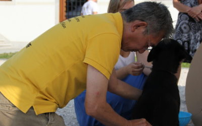 Shiatsu al mio quadrupede, quarta edizione!