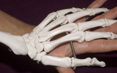 Posturologia e Shiatsu – Intervista